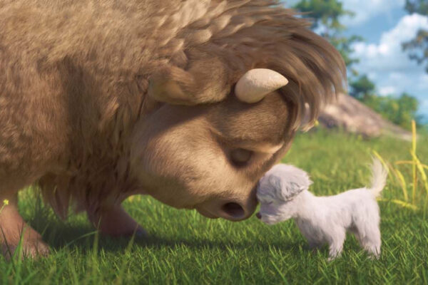 2-Buffalo Kids