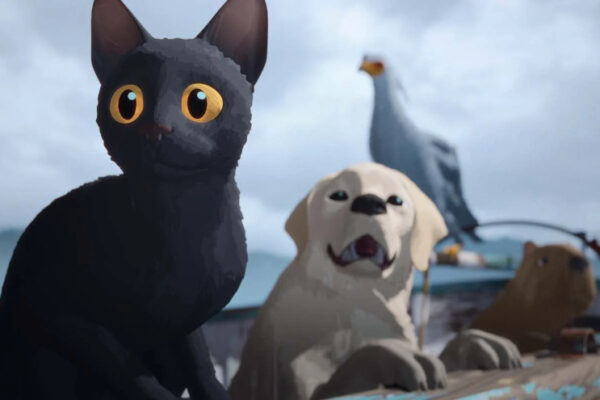 4-Flow, le chat qui n’avait plus peur de l’eau