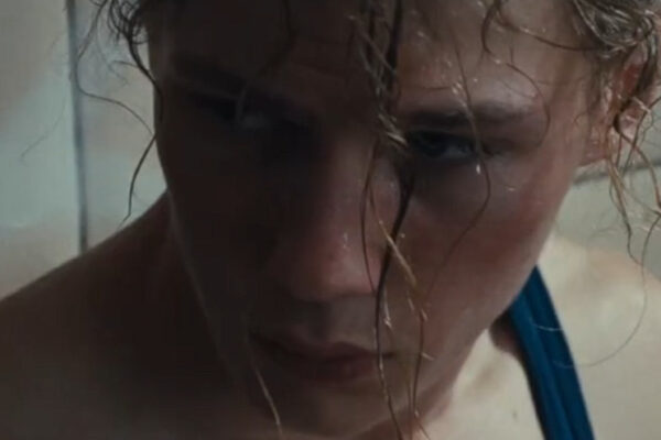 3-La Dance des renards