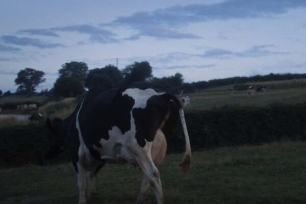3-Un été à la ferme