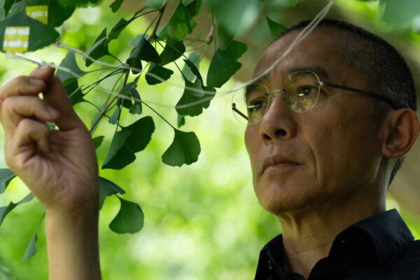 3-Silent Friend 3-Silent Friend