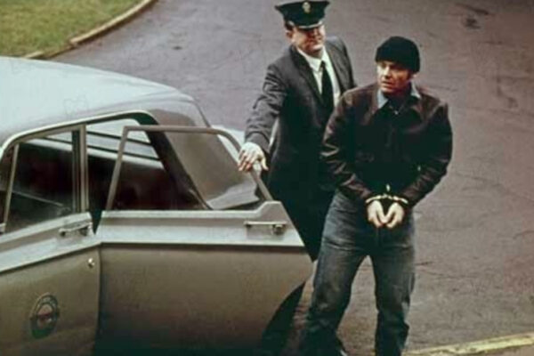 4-Vol au-dessus d'un nid de coucou