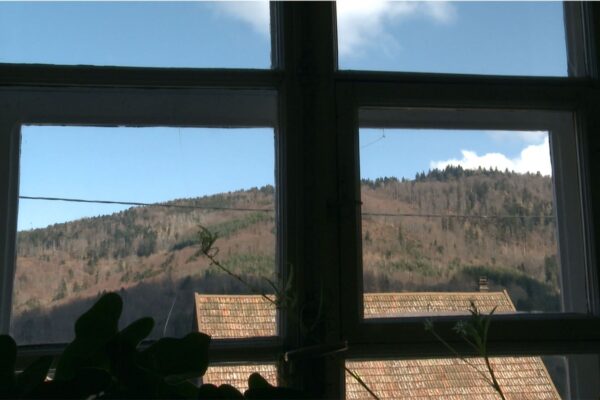 5-La Ligne bleue