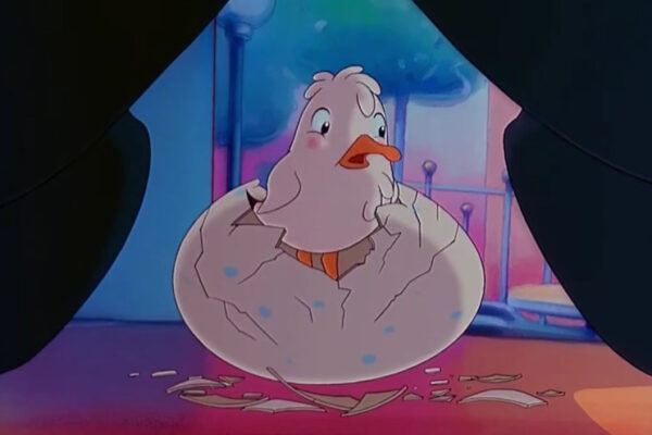 5-La Mouette et le Chat