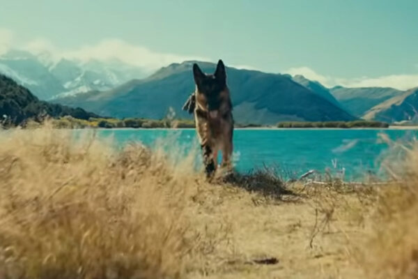 5-Heart Of The Beast 5-Heart Of The Beast